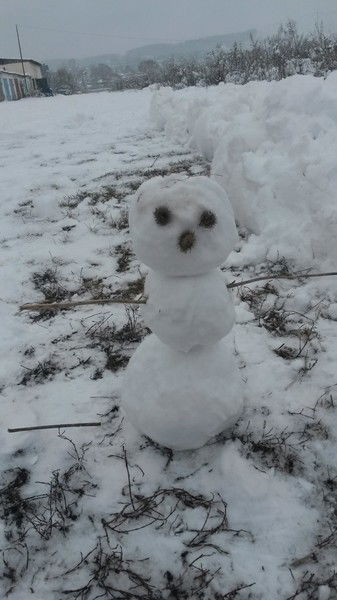 Елена Котомкина