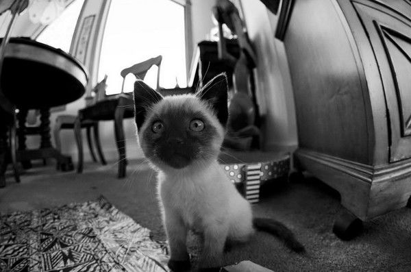 Ольга Тиунова