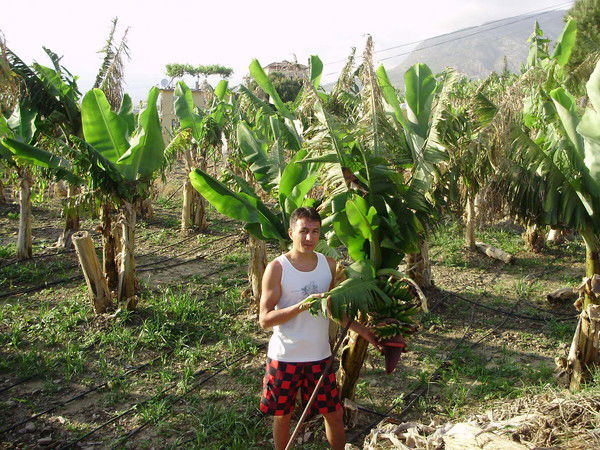 Руслан Амиров