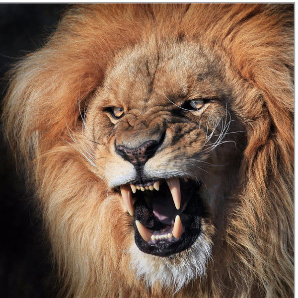 Сергей Климов