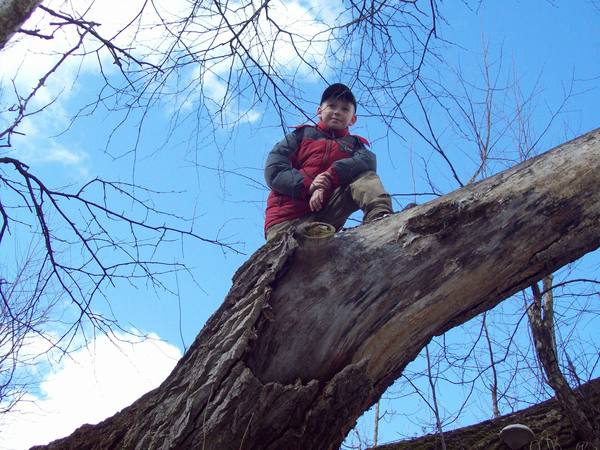 Данил Еремеев