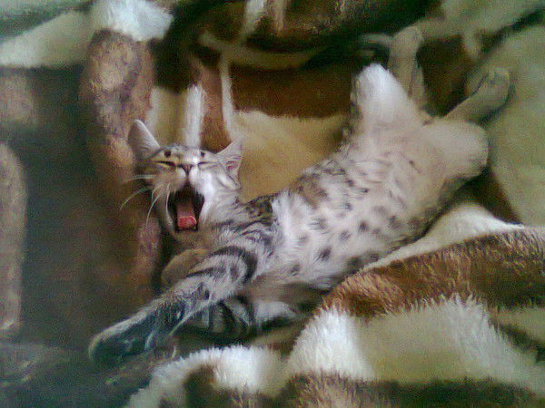 Валерий Хмарун