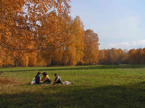 Я Это Тоже Я