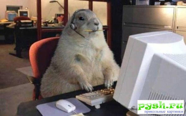 Владимир Толкачев