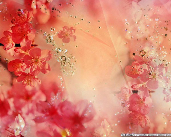 Екатерина Рыжкова