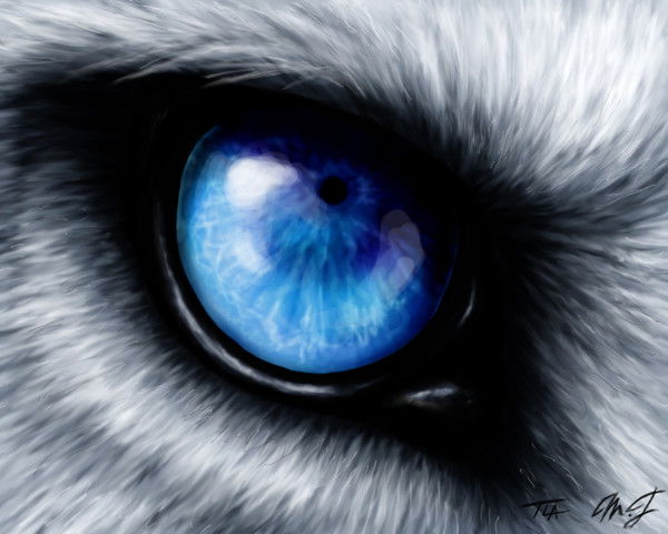 Санёк Немирович