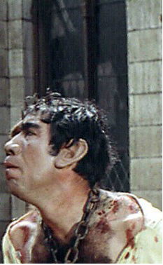 Vok Scarpion Kvazimodo