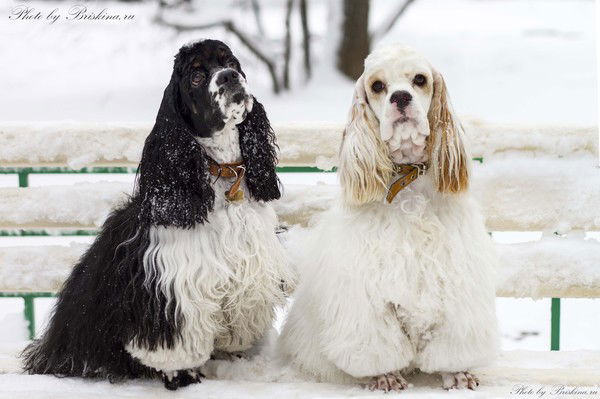 Татьяна Солодченко