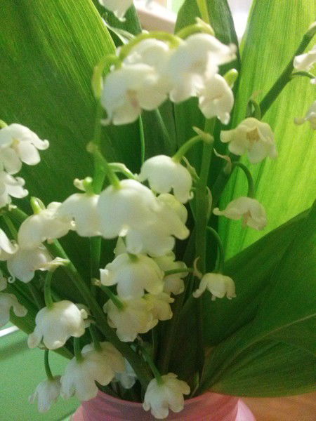 Танюша Гайдар