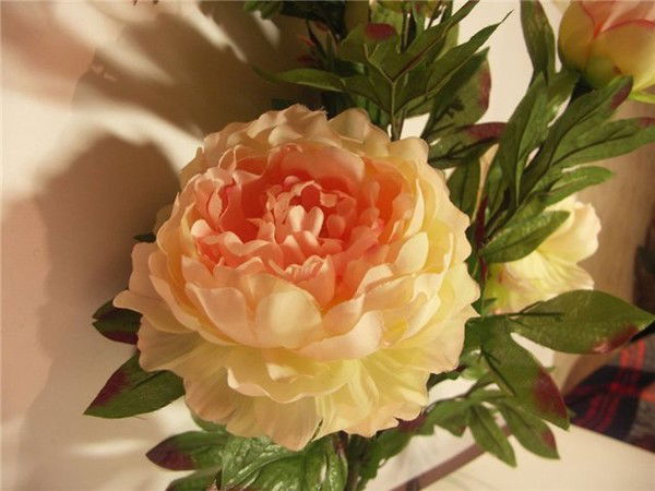 Любава Добрыдень