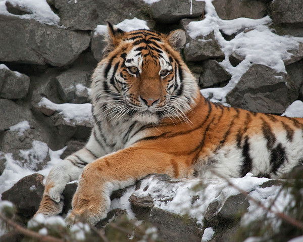 Александр Мельников