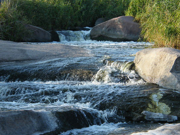 Константин Ганевич