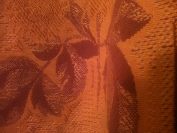 Нестор Северов