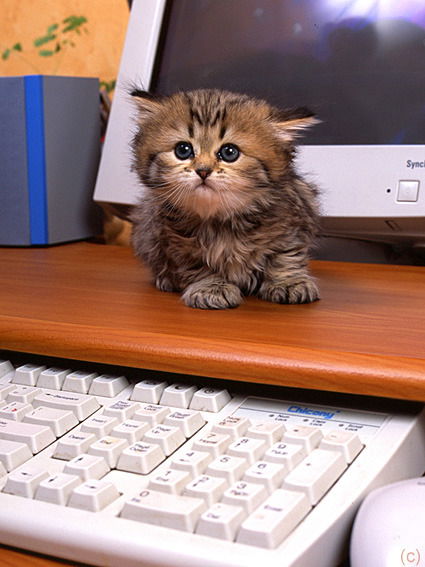 Александра Михайлова