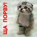 Михаил Огурцов