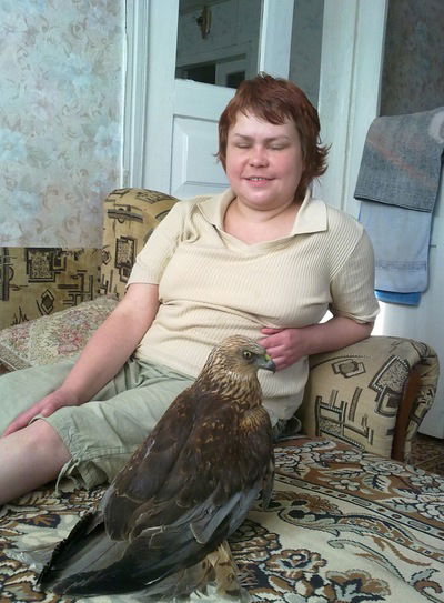 Анна Майстренко