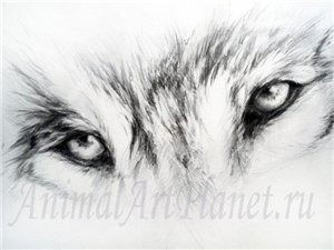 Елена Шубина