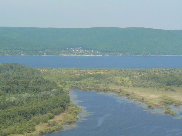 Наталья Давыдова