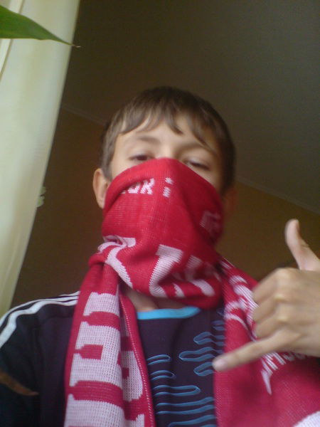 Владислав Воложанин