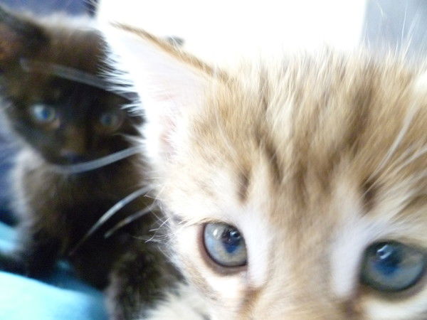 Айнур Ташмакова