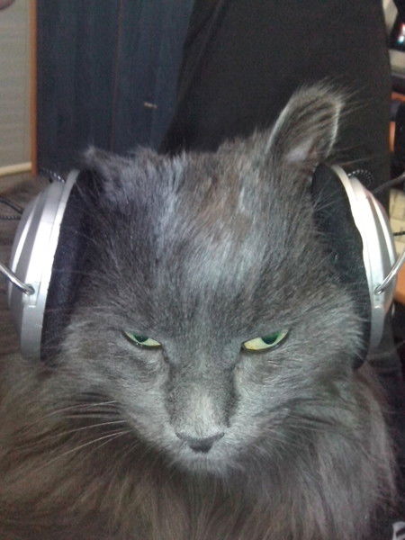 Алексей Ковалёв