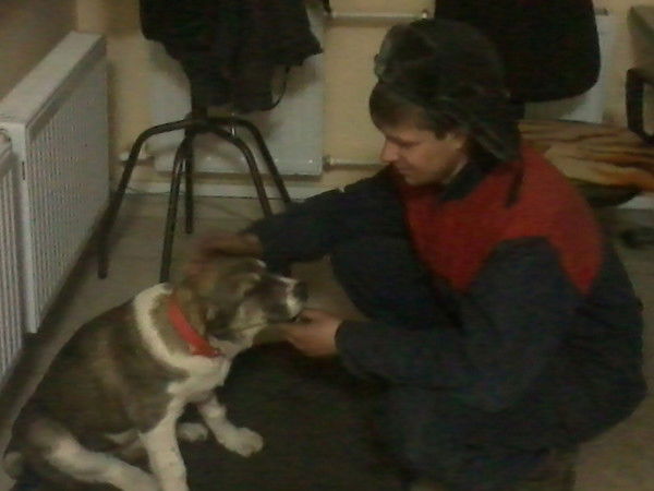 Влад Голубков