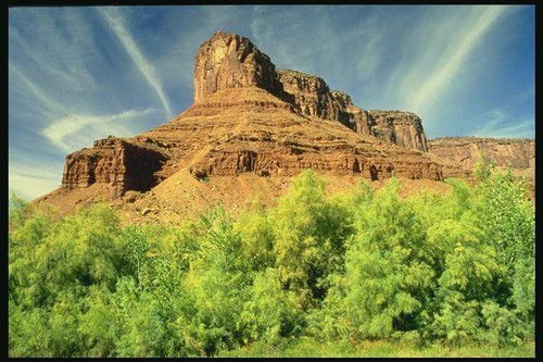 Егор Бачило