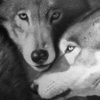 Денис Синицын