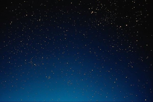 Дина Данилова