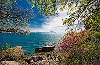 Елена Сокольская