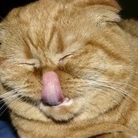 Тимур Хазаров