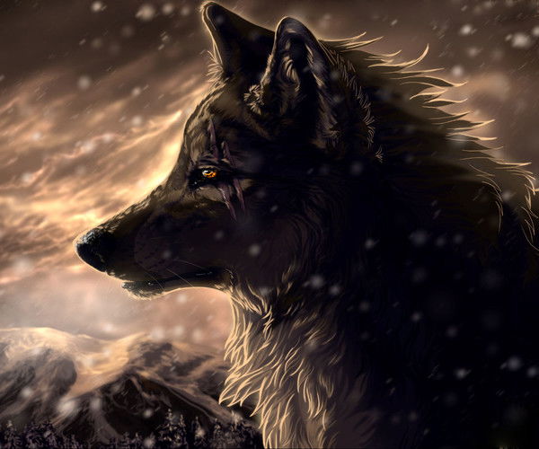 Михаил Майоров