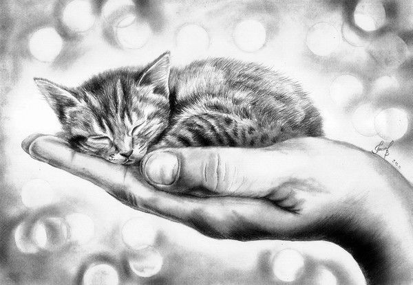 Алексей Колесников