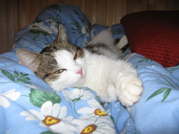 Юлия Воробьева