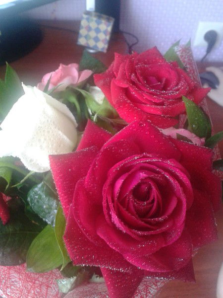 Наталия Белянская