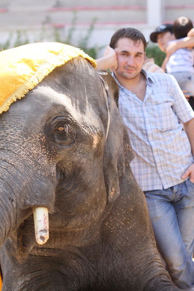 Иван Парфенов