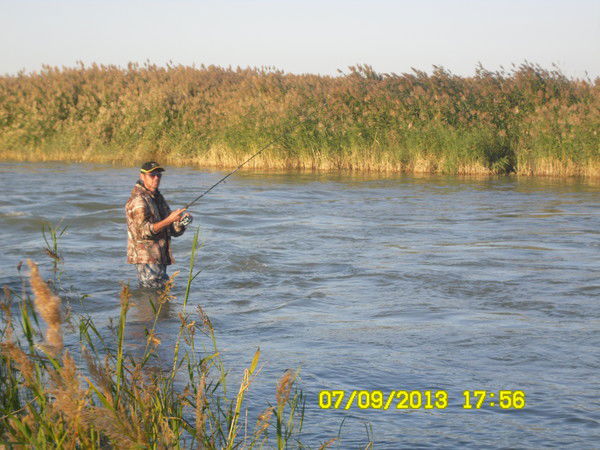 Александр Гасымов