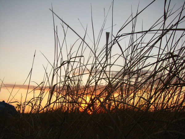 Дарья Худякова