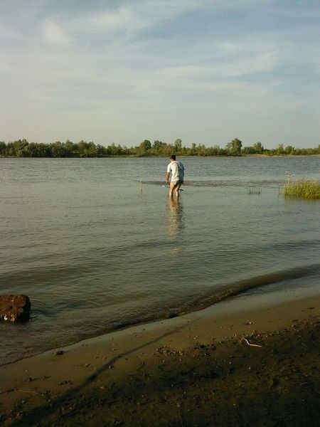 Дмитрий Осташ