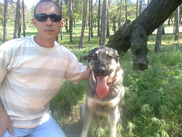 Александр Шутов