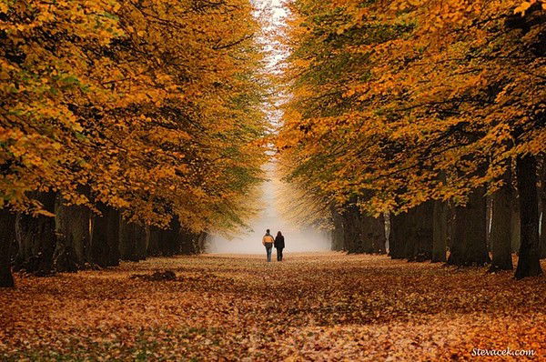 Женя Паунина