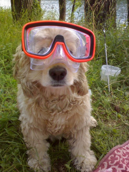 Сергей Романенко