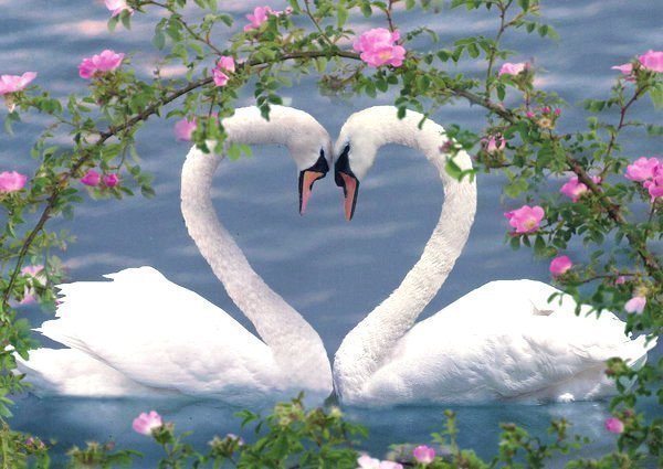 Люда Ушакова