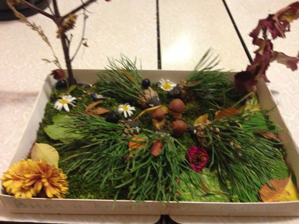 Наталия Коростелкина