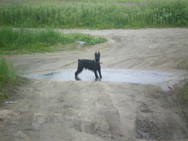 Надежда Миронова