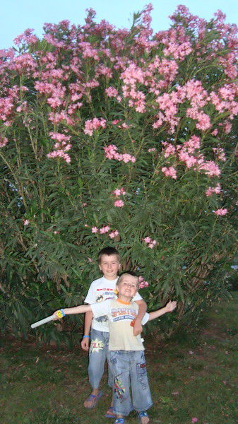 Юрий Высоцкий