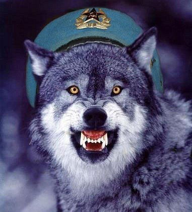 Евгений Шербигин