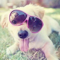 Аманкуль Нурмухамбетова