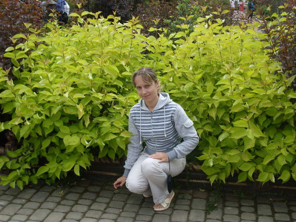 Ира Веремьёва