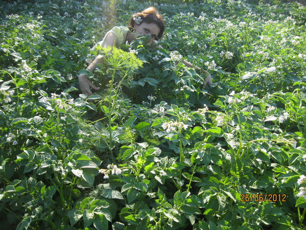 Елена Вицяк